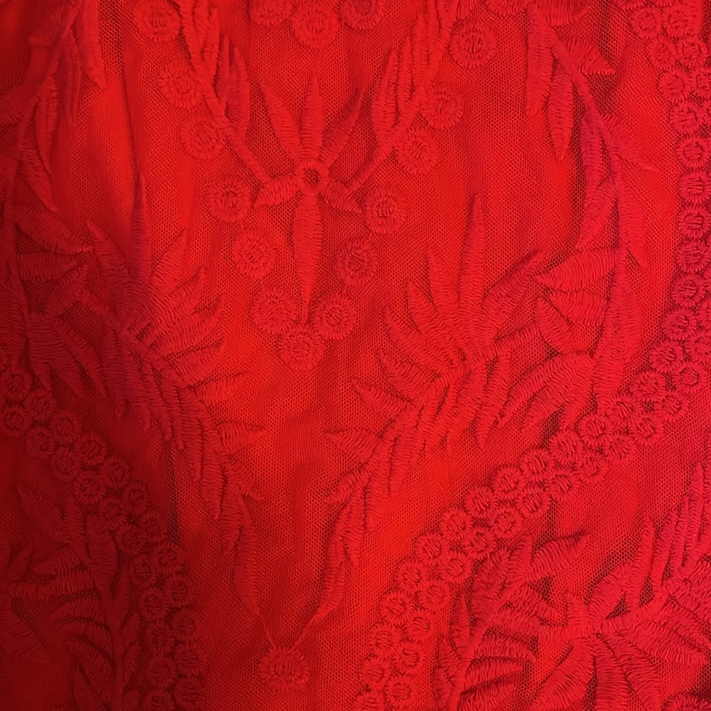 Express lace dress ❤️💃🏻 - Picture 6 of 6